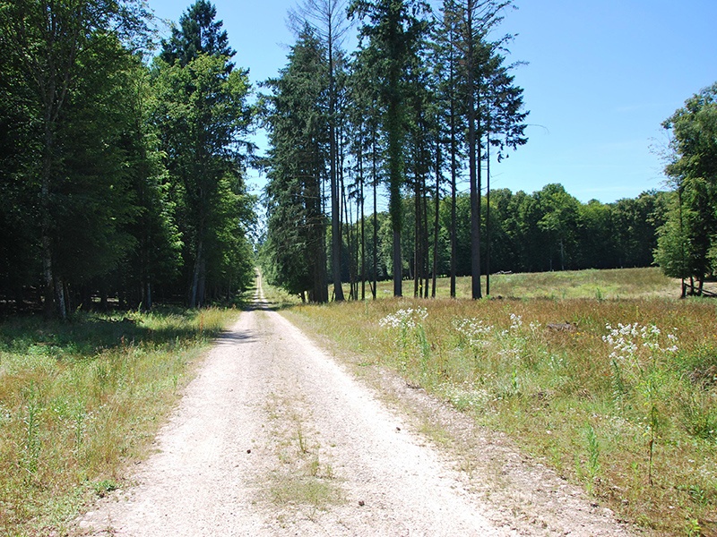 Domaine du Grand Orient